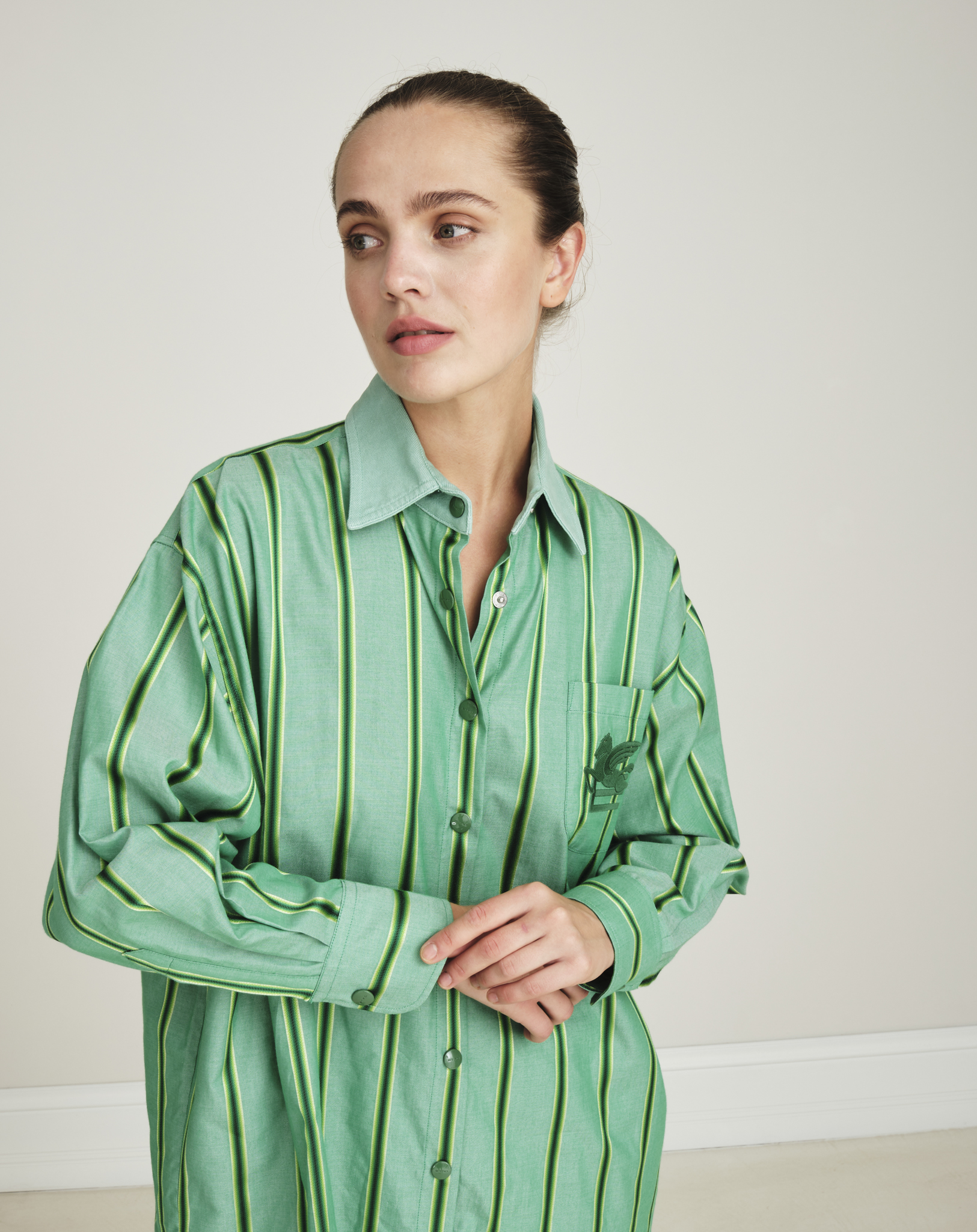 Etro - Oversized Embridered Green Striped Cotton And Silk Blend Shirt IT38